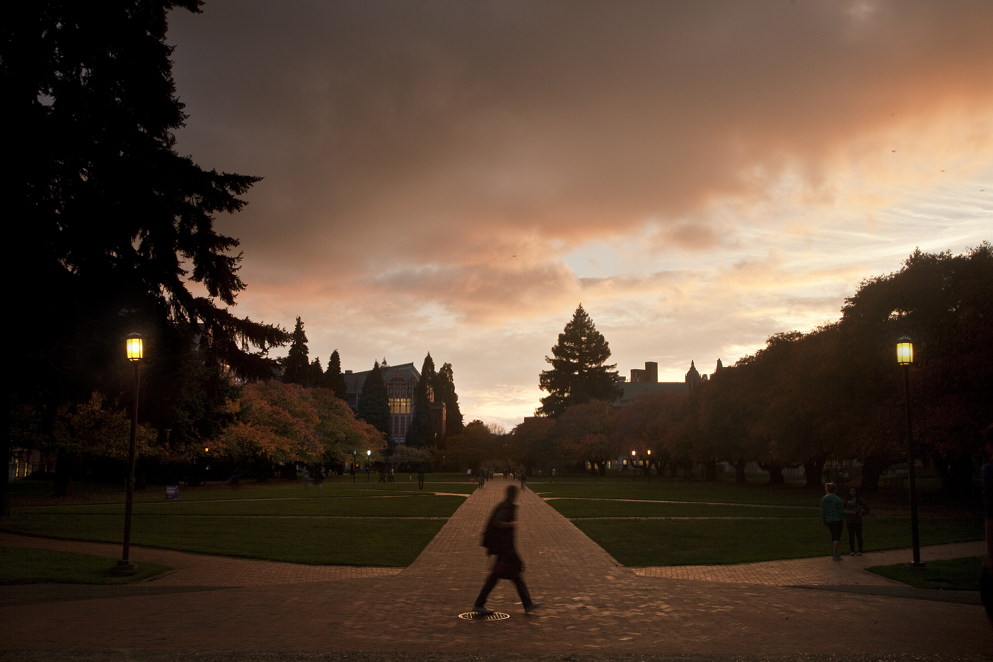quad at night