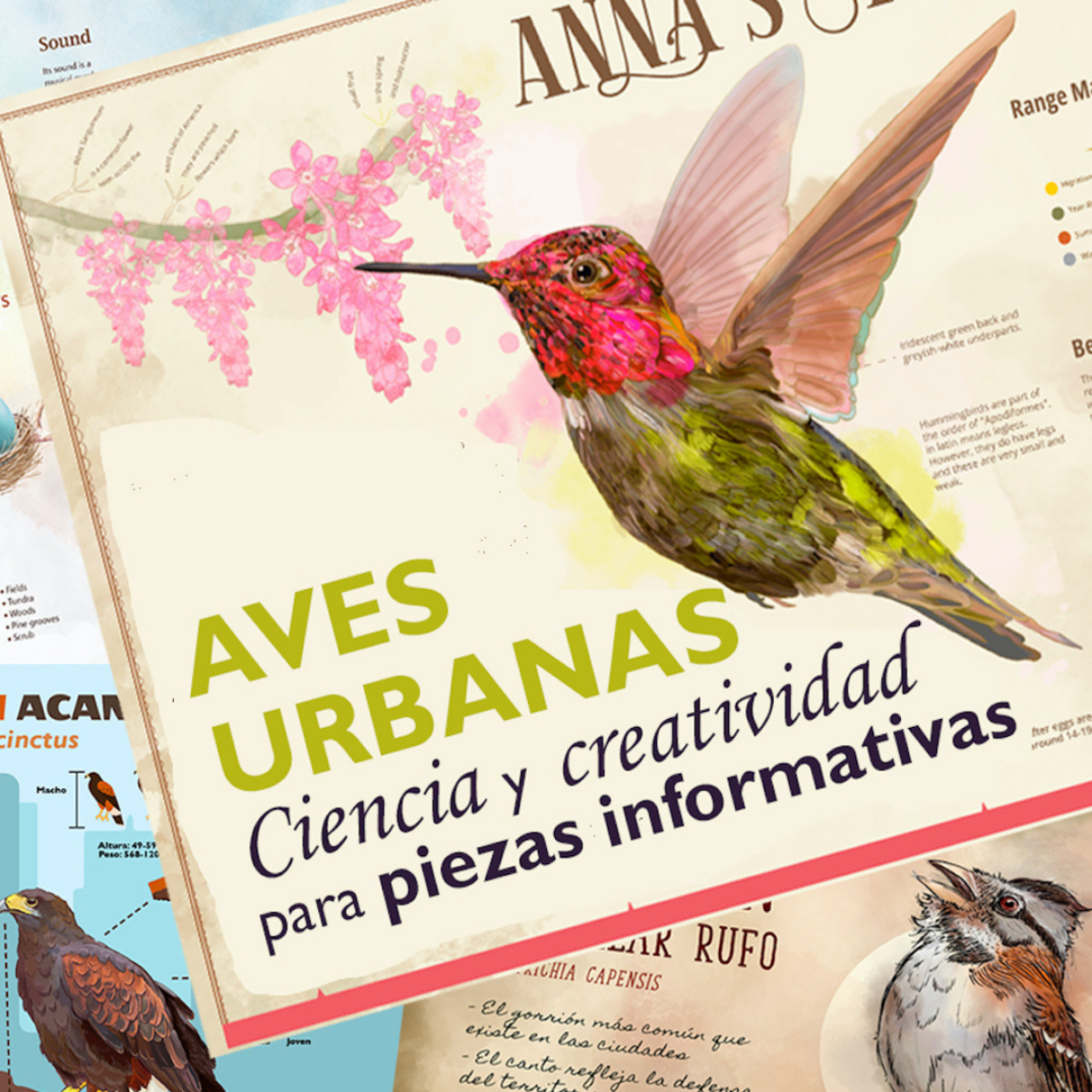 Collage of images with Spanish writing and images of birds