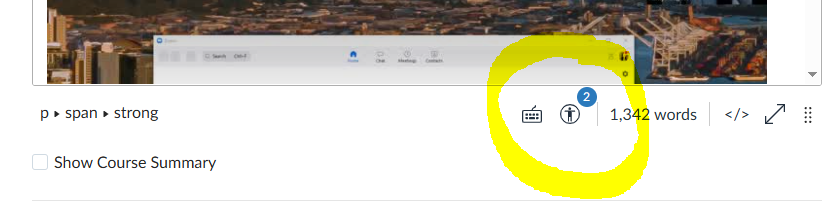 Screenshot of a portion of the Edit mode in Canvas. A yellow circle highlights the Canvas Accessibility Checker.