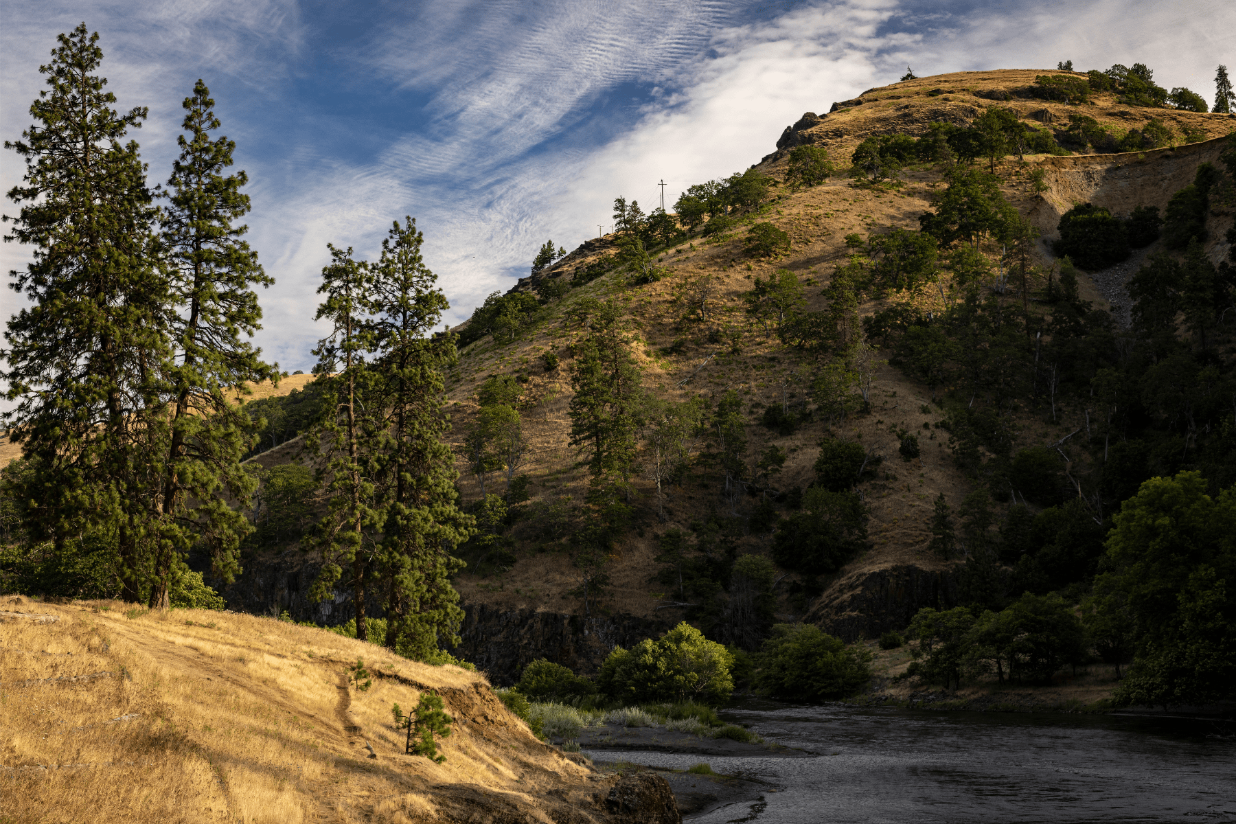 a mountain sloping to the right with trees around it
