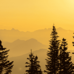 Golden sunrise with mountains in the background and trees in the foreground