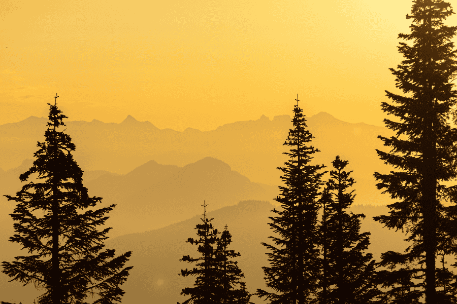 Golden sunrise with mountains in the background and trees in the foreground