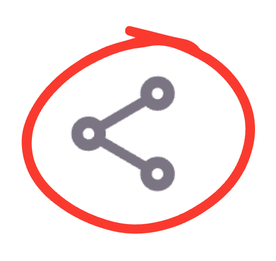 Red circle around UW Libraries permalink icon