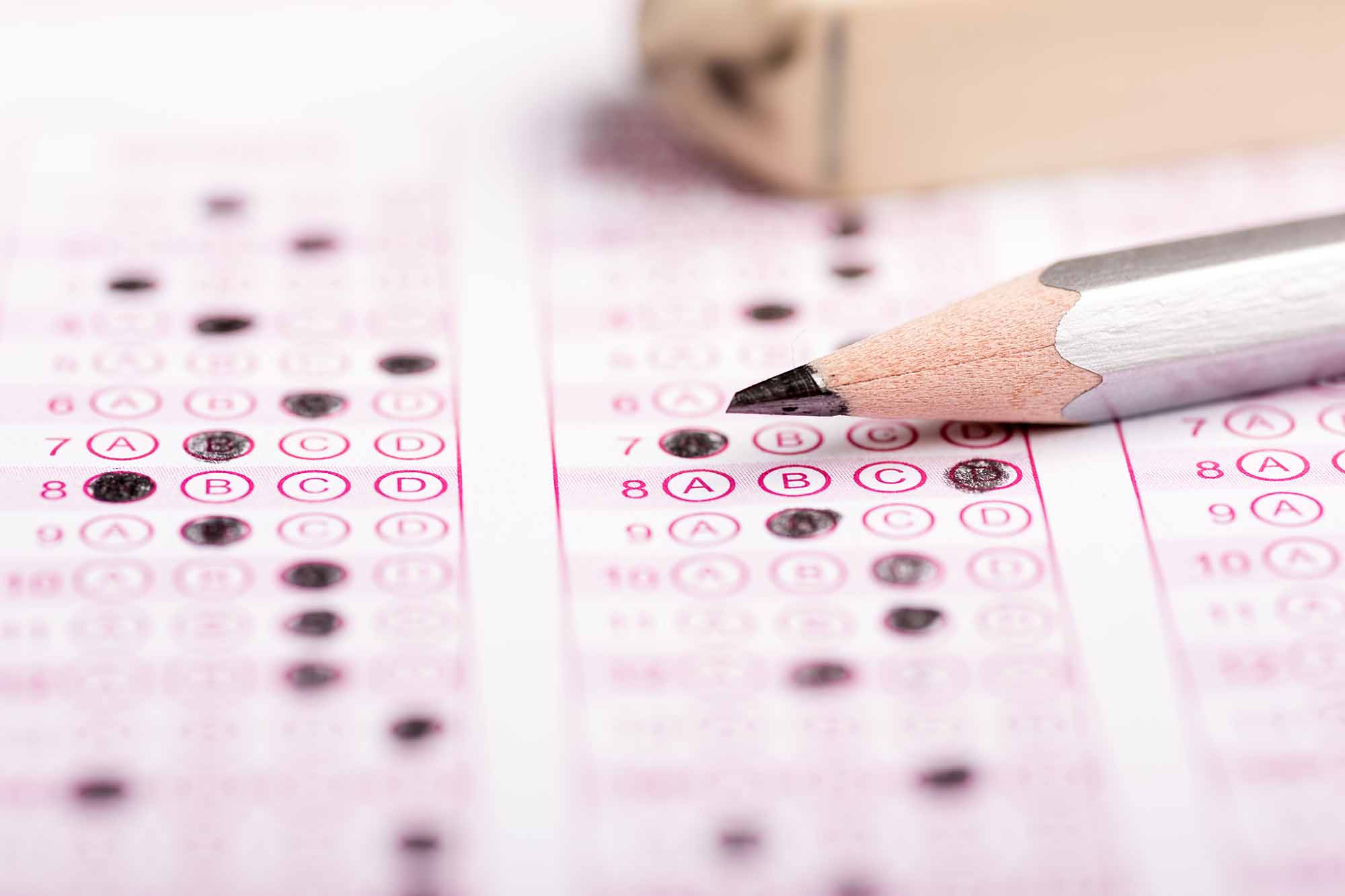 assessment